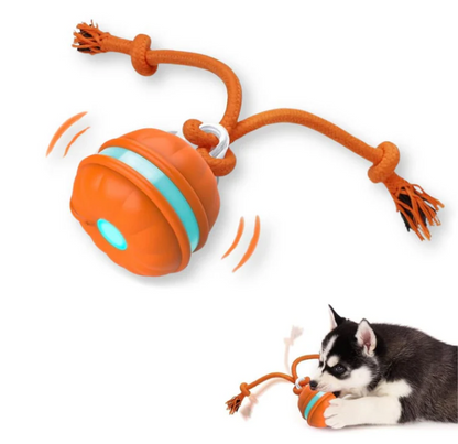 ZoomRope™ Interactive motion ball