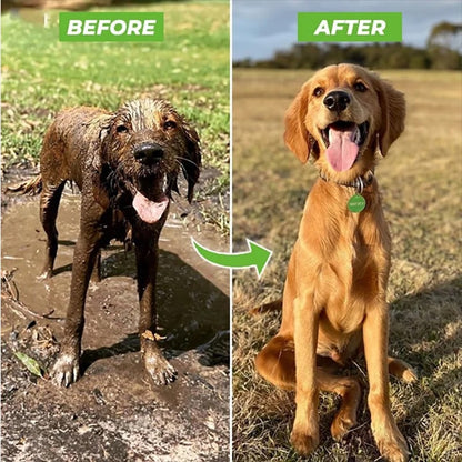 Pet Shower Sprayer