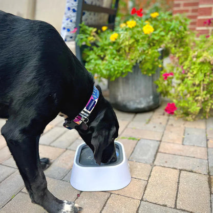 Anti Splash Pet Bowl