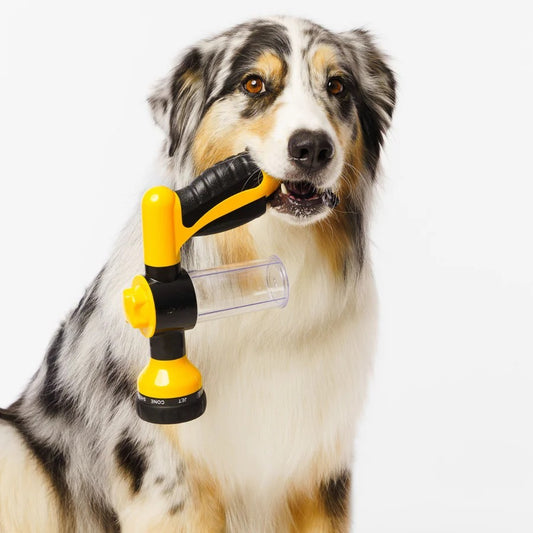 Pet Shower Sprayer